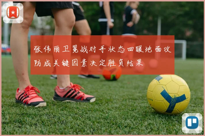 张伟丽卫冕战对手状态回暖地面攻防成关键因素决定胜负结果