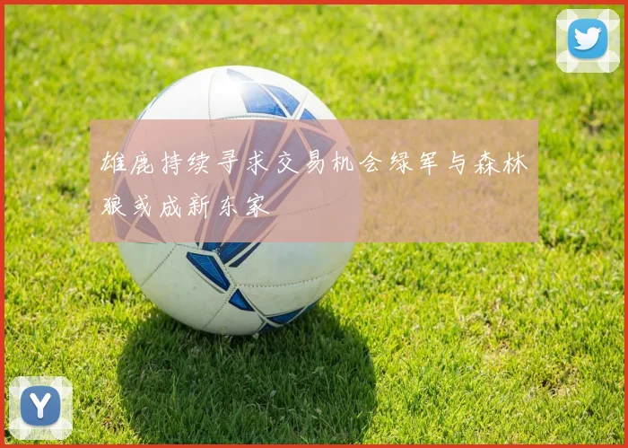 雄鹿持续寻求交易机会绿军与森林狼或成新东家