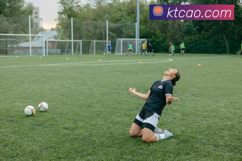 奖项图2